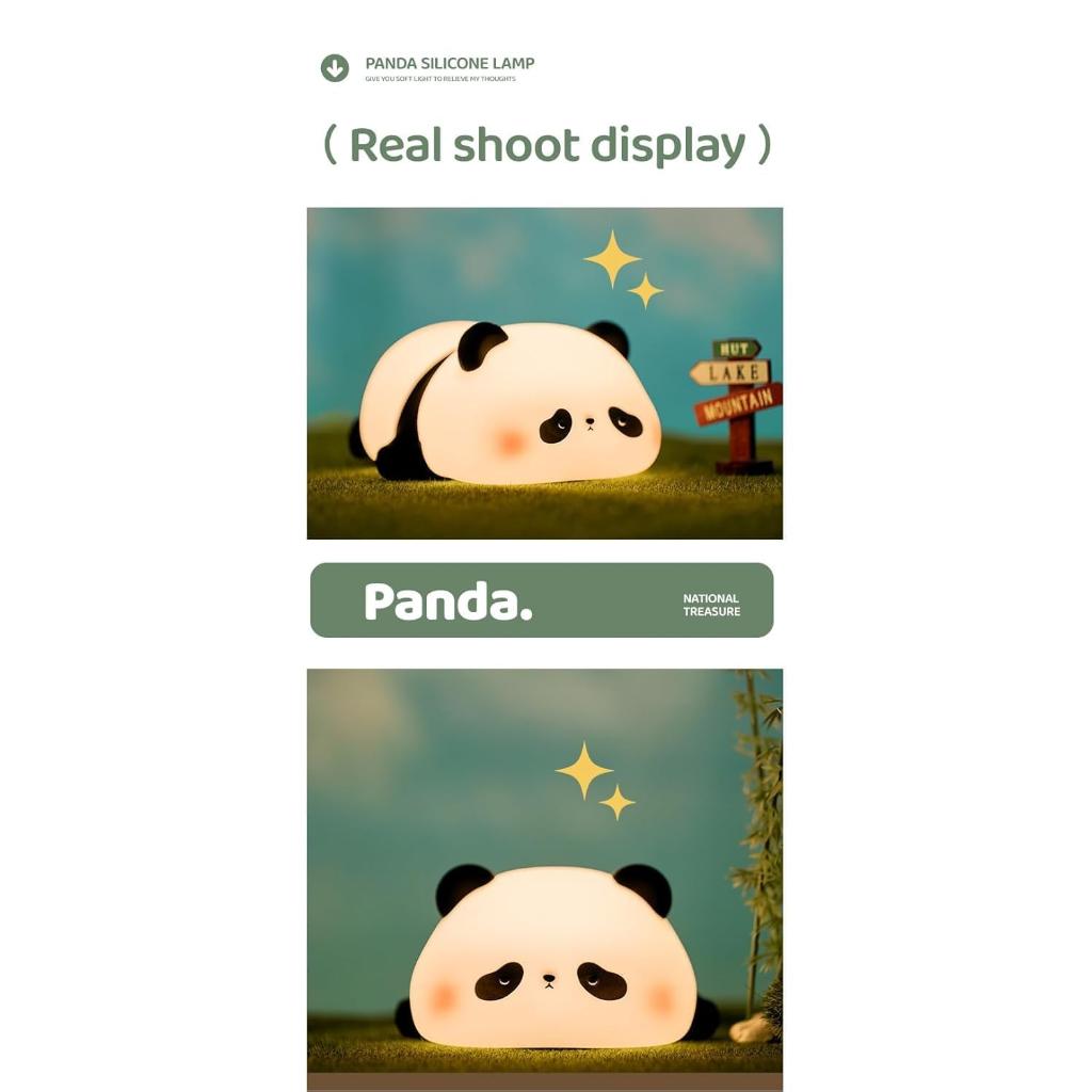 Sleeping Panda Night Lamp - Trending in Gifting Items